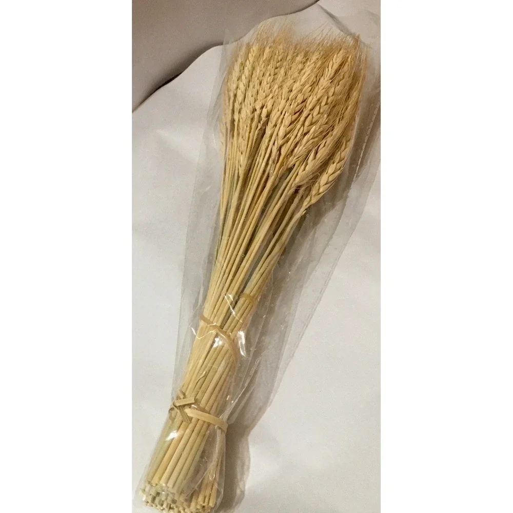 100 Stems Dried Wheat Stalks for Decor Sheaves Grass Natural Golden